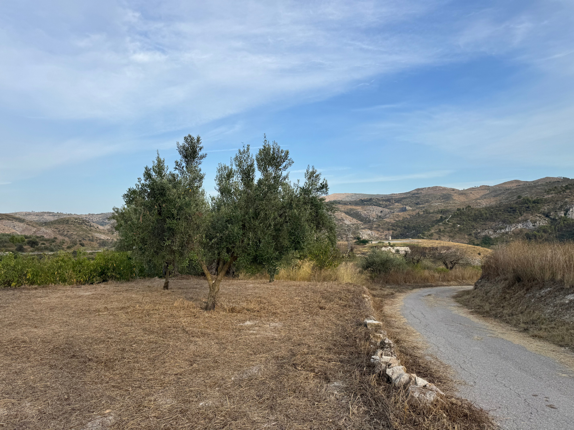 The lane leading away from the house between olive trees and open hills